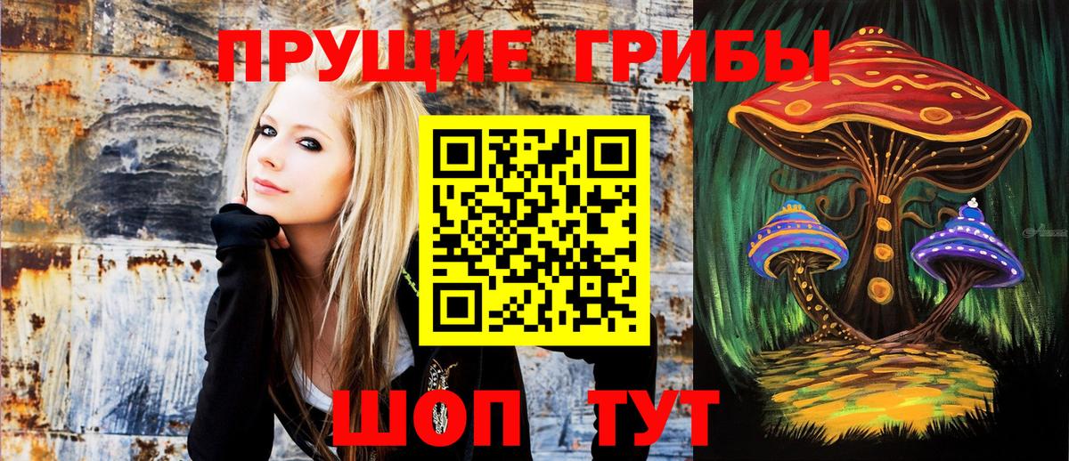 хочу наркоту  Краснотурьинск  Галлюциногенные грибы Psilocybine cubensis  Галлюциногенные грибы мухоморы 