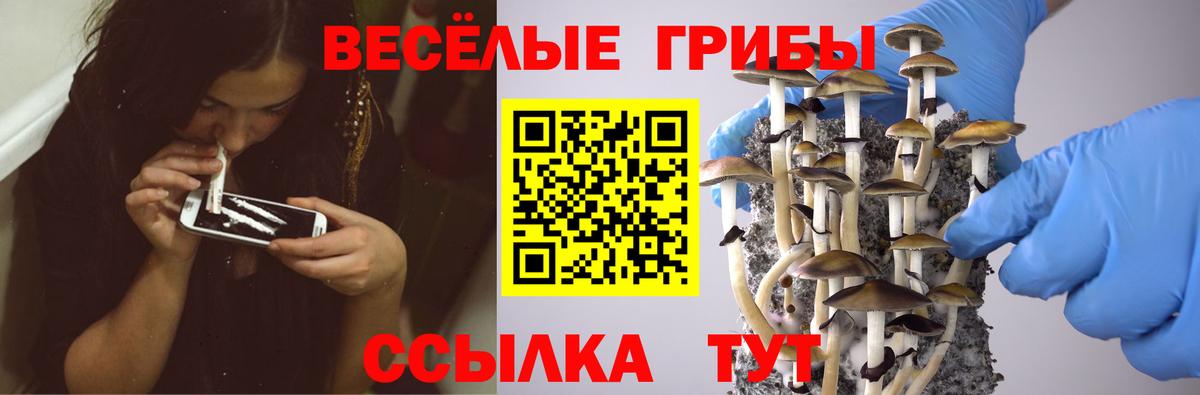 Псилоцибиновые грибы Magic Shrooms Краснотурьинск
